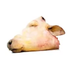بنا گوش
